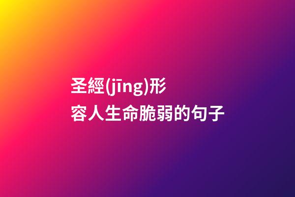 圣經(jīng)形容人生命脆弱的句子
