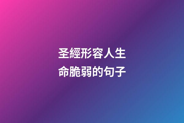 圣經形容人生命脆弱的句子
