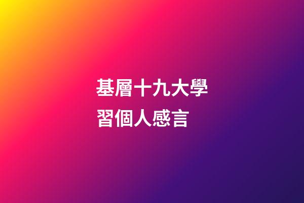 基層十九大學習個人感言
