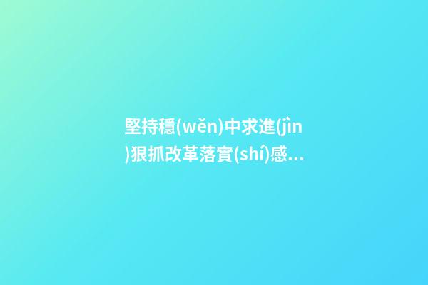 堅持穩(wěn)中求進(jìn)狠抓改革落實(shí)感言