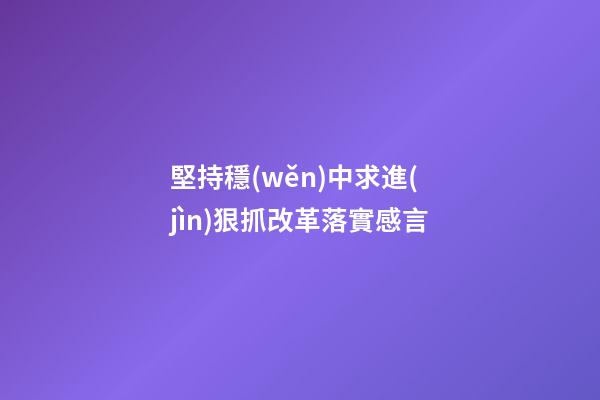 堅持穩(wěn)中求進(jìn)狠抓改革落實感言