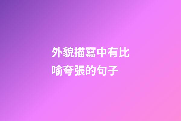 外貌描寫中有比喻夸張的句子