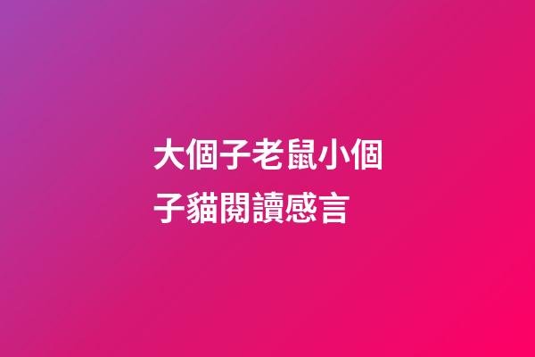 大個子老鼠小個子貓閱讀感言