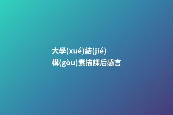 大學(xué)結(jié)構(gòu)素描課后感言