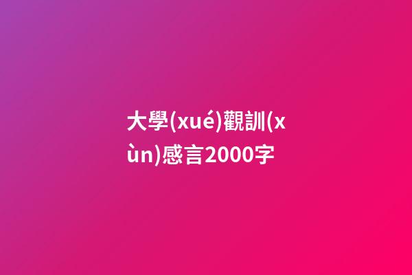 大學(xué)觀訓(xùn)感言2000字