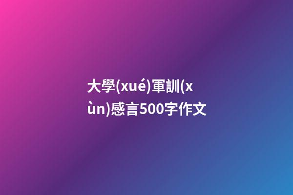 大學(xué)軍訓(xùn)感言500字作文