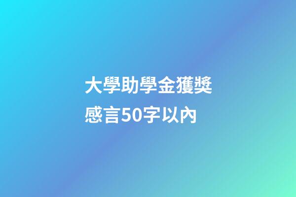 大學助學金獲獎感言50字以內