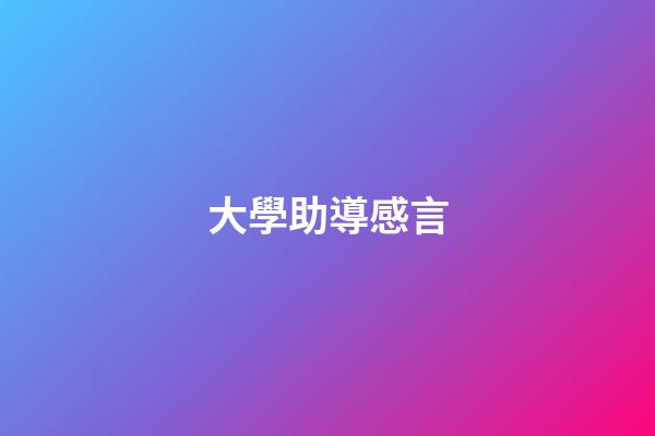 大學助導感言