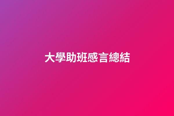 大學助班感言總結