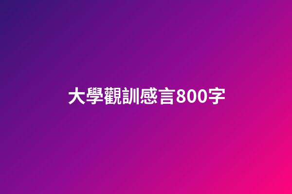 大學觀訓感言800字