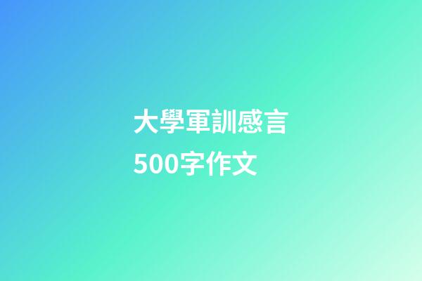 大學軍訓感言500字作文