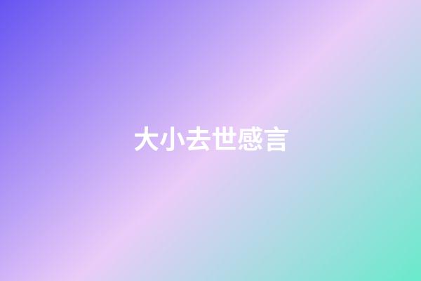 大小去世感言