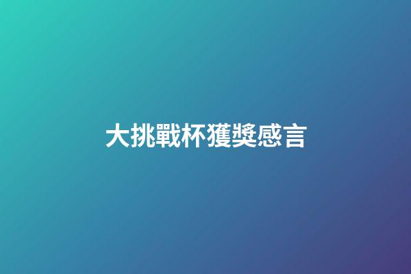 大挑戰杯獲獎感言