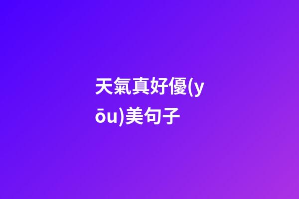 天氣真好優(yōu)美句子