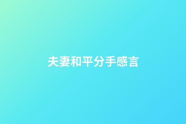 夫妻和平分手感言