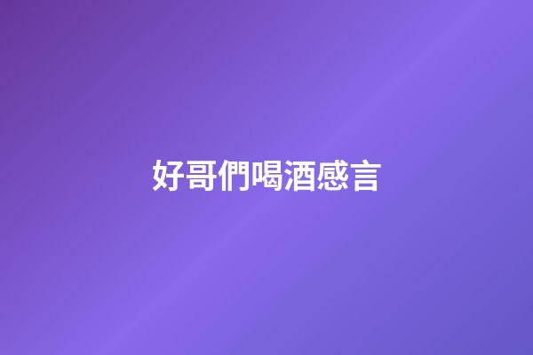 好哥們喝酒感言