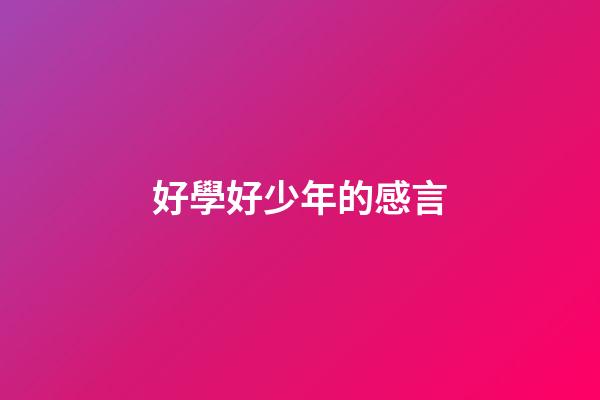 好學好少年的感言