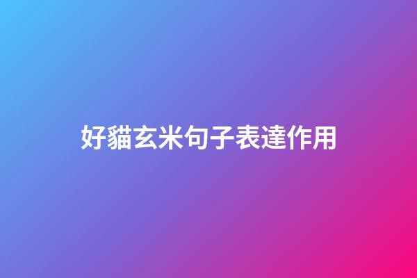 好貓玄米句子表達作用