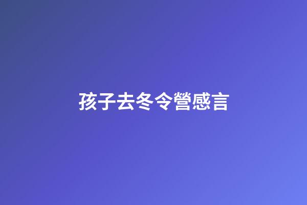 孩子去冬令營感言