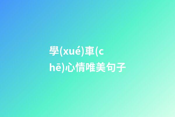 學(xué)車(chē)心情唯美句子