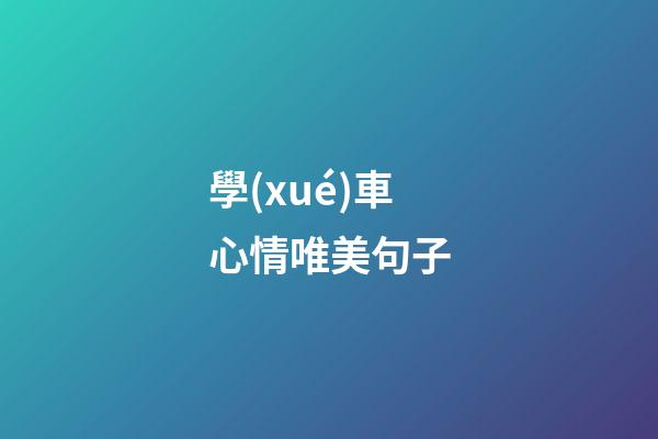 學(xué)車心情唯美句子