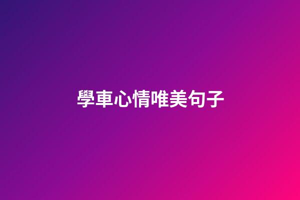 學車心情唯美句子