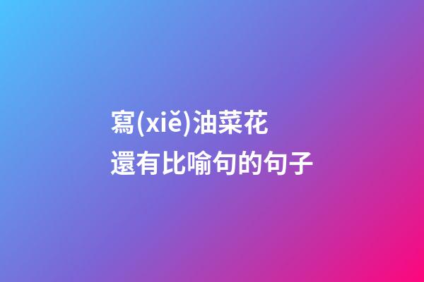 寫(xiě)油菜花還有比喻句的句子
