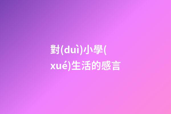 對(duì)小學(xué)生活的感言