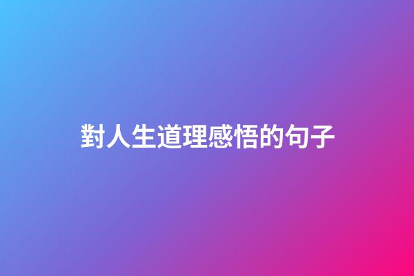 對人生道理感悟的句子