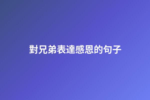 對兄弟表達感恩的句子