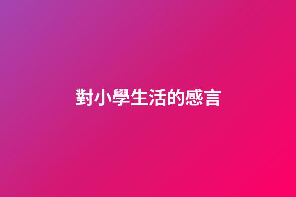 對小學生活的感言