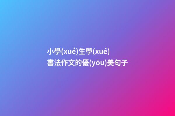 小學(xué)生學(xué)書法作文的優(yōu)美句子