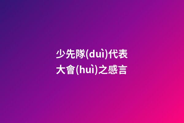 少先隊(duì)代表大會(huì)之感言