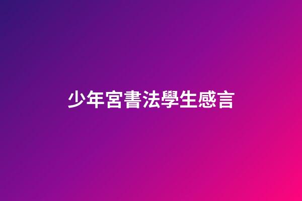 少年宮書法學生感言