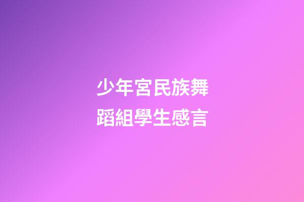 少年宮民族舞蹈組學生感言