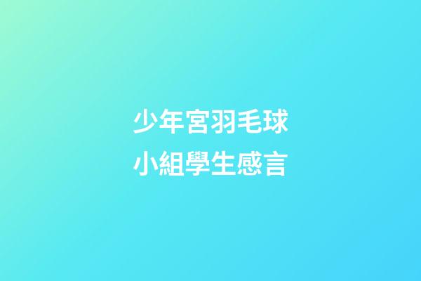 少年宮羽毛球小組學生感言