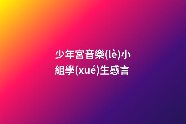 少年宮音樂(lè)小組學(xué)生感言