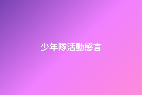 少年隊活動感言
