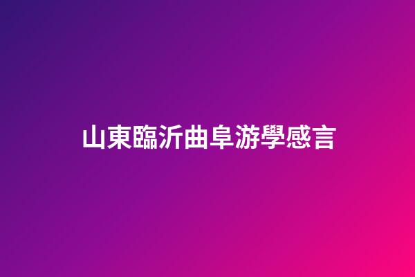 山東臨沂曲阜游學感言