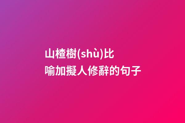 山楂樹(shù)比喻加擬人修辭的句子