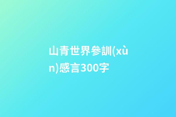 山青世界參訓(xùn)感言300字