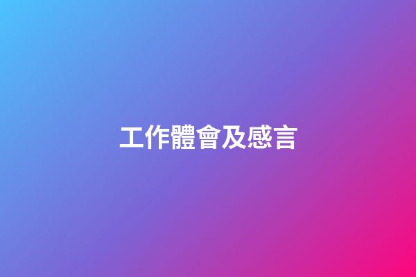工作體會及感言