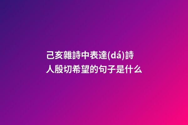 己亥雜詩中表達(dá)詩人殷切希望的句子是什么