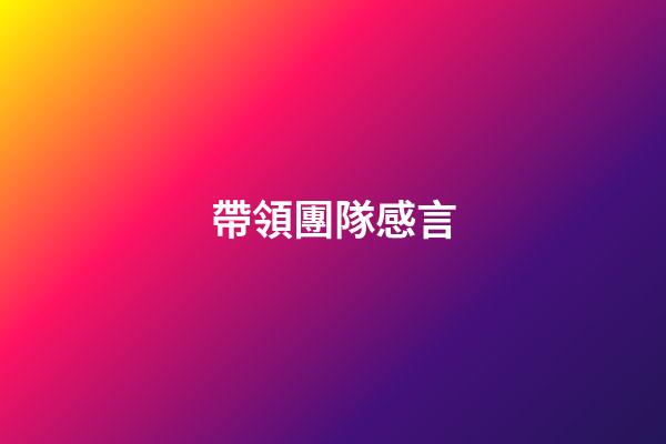 帶領團隊感言