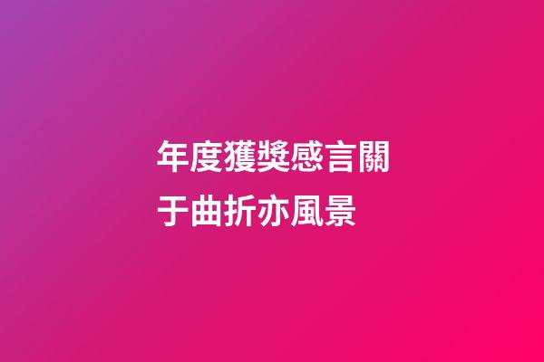 年度獲獎感言關于曲折亦風景