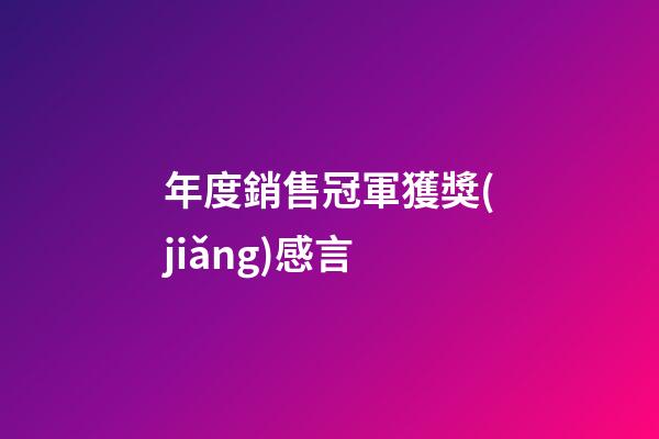 年度銷售冠軍獲獎(jiǎng)感言