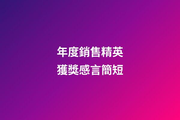 年度銷售精英獲獎感言簡短
