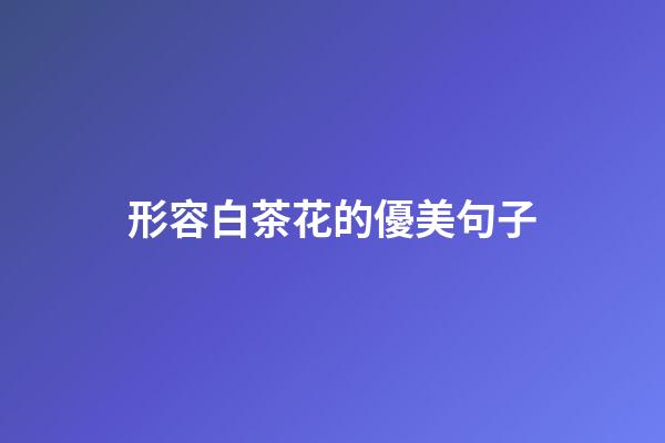 形容白茶花的優美句子