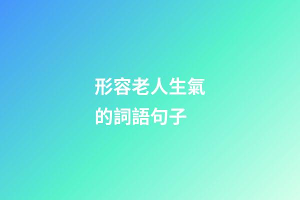形容老人生氣的詞語句子