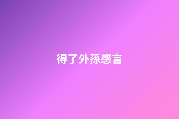 得了外孫感言